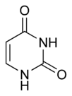 Chemical structure of uracil