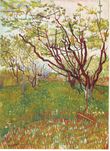 A field on an early spring day with several lightly blooming trees in the left and in the distance contrasted against a pale sky. To the right middle ground is a large single tree with several growing branches in early bloom. A rake leans against the tree-trunk.