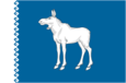 Flag of Yoshkar-Ola (Mariy-El).png