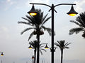 Libya Tripoli winter.jpg