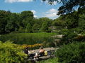 Lower Central Park Shot 3.JPG