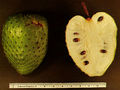 Soursop fruit.jpg