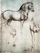 A page with two drawings of a war-horse, one from the side, and the other showing the chest and right leg.