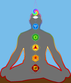 Silhouette of the human figure in lotus posture, external line is rainbow colored, figure has seven chakras located in their respective place.