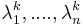 \lambda_1^k,....,\lambda_n^k