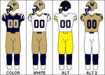 CFL Jersey WPG 2009.png