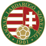 Shirt badge/Association crest