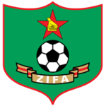 Shirt badge/Association crest