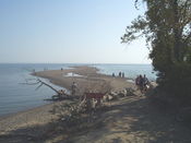 Point Pelee looking south.jpg