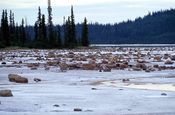 Wood-Buffalo-NP Gros Beak Lake 2 98-07-02.jpg