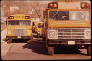 Two conventional school buses, from left to right: a Ward Volunteer with International Harvester chassis, and a Wayne conventional with Ford chassis, photographed in the mid-1970s.