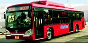 A red bus on a road. Blue letters are seen on its side