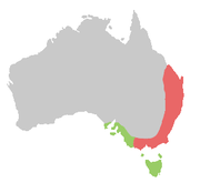 A map of Australia, showing the range of the Yellow-tailed Black Cockatoo. There is a red region representing the range of the Eastern subspecies along the east coast and near-coast covering the bottom two thirds of the eastern coastline, and also the southern coastline and nearby regions to the north of Tasmania. A pale green zone representing the range of the Southern subspecies covers Tasmania and a part of southern coastline immediately to the west of the bottom of the red zone.