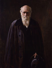 Three-quarter portrait of a senior Darwin dressed in black before a black background. His face and six-inch white beard are dramatically lit from the side. His eyes are shaded by his brows and look directly and thoughtfully at the viewer.