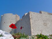 Château d'If, Marseille.JPG