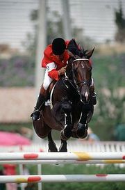 A dark horse, ridden by a person in a red coat, white pants and black boots, in mid-air over a jump. The jump is made of white rails spotted with red and yellow. In the background is a white fence and parts of several buildings.