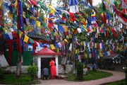 A man and a woman praying at a small white shrine with a red roof. Several colourful flags on buntings are strung across poles in front of the shrine.