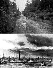 Two old photographs of the same location. The first shows a road through dense forest. The second has lots of burnt tree stumps and a range of snowy mountains in the background.