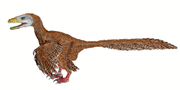 Deinonychus BW-2.png