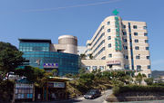 A large seven-story hospital complex on a slope that consists of about two buildings. The wall of one on the left is covered with blue glasses, and the other building with round corners is covered with beige bricks. Large green vertical signs are attached on the wall of the latter. The signs say "동국대학교 부속병원 한방병원". In front of the hospital, a black car coming down from the slope.