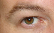 Eyes chris.jpg