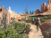 Horseriders on a dirt trail going toward pillars of pink rock