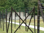 Taken from outside the reconstruction of a barracks, the photo shows a barbed-wire fence, and beyond it a grassy area with a small timber hut