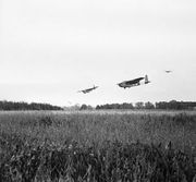 Large gliders in the sky, preparing to land in a field