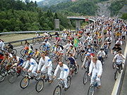 A road full of bicyclists.