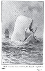 Moby Dick p510 illustration.jpg