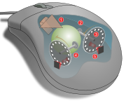 Mouse mechanism diagram.svg