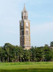 A clock tower amid trees and a playground