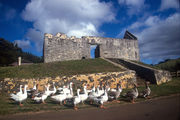 Norfolk Island jail4.jpg