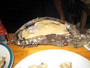 Photo of 2�feet (0.61 m) long open oyster on plate