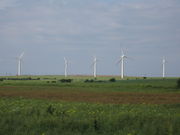  An area of flat green fields with five starkly white wind turbines standing out from the background of a blue sky.