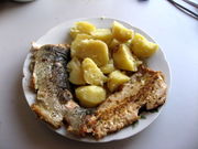 Photo of fried steelhead filet on plate