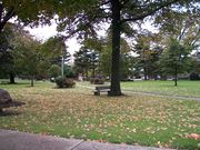 picture of a public park, with fallen leaves, and pine trees in the distance, and a small statue in the middle.