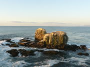 Large light brown rocks protrude from the waves