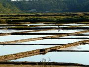 square evaporation ponds with hills in the background