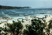 Photo of near-shore ocean, divided into rectangles, most containing a yards-long, narrow boat