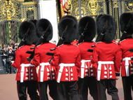 Lines of men wearing large black bearskin hats and red tunics.