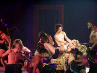 Image of a blond woman. She is laying in a flowered divan, with her body extended and her hands in her head. She is wearing a sparkly bra and lingerie, with black high-heeled shoes. The divan is attached to wires. She is surrounded by several people, including bare chested men of differentes races. Several women also surround her, wearing black lingerie ensembles. Below her, an Hispanic man and an African American woman are touching each other in a sexual way.