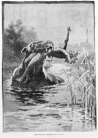 Bunyip 1890.jpg