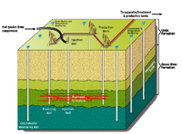 Schematic overview of the Chevron CRUSH process. Vertical wells inject hot gas, recover the oil, and house groundwater monitors. Oil pumps, hot gas compressors, and oil treatment units and tanks are located on the surface. The oil shale formation is fractured to enable gas circulation between wells and to increase oil recovery.