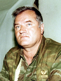 Evstafiev-ratko-mladic-1993-w.jpg