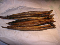 Photo of eight eels on white sheet