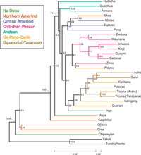 A  language map with  color. Branch lengths are scaled according to genetic distance, but for ease of visualization, a different scale is used on the left and right sides of the middle tick mark at the bottom of the figure. The tree was rooted along the branch connecting the Siberian populations and the Native American populations, and for convenience, the forced bootstrap score of 100% for this rooting is indicated twice. In the neighbor-joining tree, a reasonably well-supported cluster (86%) includes all non-Andean South American populations, together with the Andean-speaking Inga population from southern Colombia. Within this South American cluster, strong support exists for separate clustering of Chibchan–Paezan (97%) and Equatorial–Tucanoan (96%) speakers (except for the inclusion of the Equatorial–Tucanoan Wayuu population with its Chibchan–Paezan geographic neighbors, and the inclusion of Kaingang, the single Ge–Pano–Carib population, with its Equatorial–Tucanoan geographic neighbors). Within the Chibchan–Paezan and Equatorial–Tucanoan subclusters several subgroups have strong support, including Embera and Waunana (96%), Arhuaco and Kogi (100%), Cabecar and Guaymi (100%), and the two Ticuna groups (100%). When the tree-based clustering is repeated with alternate genetic distance measures, despite the high Mantel correlation coefficients between distance matrices (0.98, 0.98, and 0.99 for comparisons of the Nei and Reynolds matrices, the Nei and chord matrices, and the Reynolds and chord matrices, respectively), higher-level groupings tend to differ slightly or to have reduced bootstrap support.