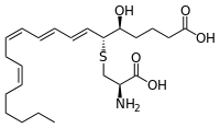 Leukotriene E4.svg