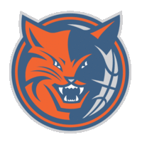 Charlotte Bobcats logo