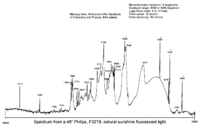 Spectra-Philips 32T8 natural sunshine fluorescent light.png